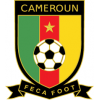 Cameroun Mondial 2022 Hommes