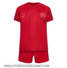 Maillot de football Réplique Danemark Domicile Enfant Mondial 2022 Manche Courte (+ Pantalon court)