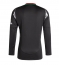 Maillot de football Réplique Arsenal Extérieur 2024-25 Manche Longue