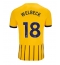 Maillot de football Réplique Brighton Danny Welbeck #18 Extérieur 2024-25 Manche Courte