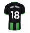 Maillot de football Réplique Brighton Danny Welbeck #18 Troisième 2024-25 Manche Courte