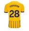 Maillot de football Réplique Brighton Evan Ferguson #28 Extérieur 2024-25 Manche Courte