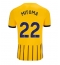Maillot de football Réplique Brighton Kaoru Mitoma #22 Extérieur 2024-25 Manche Courte