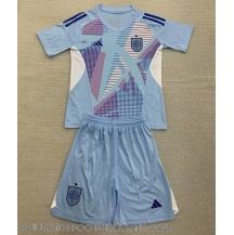 Maillot de football Réplique Espagne Gardien de but Domicile Enfant Europe 2024 Manche Courte (+ Pantalon court)