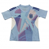 Maillot de football Réplique Espagne Gardien de but Domicile Europe 2024 Manche Courte