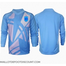 Maillot de football Réplique Espagne Gardien de but Domicile Europe 2024 Manche Longue