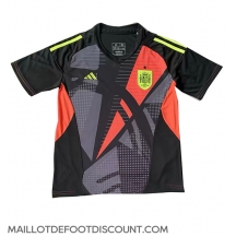 Maillot de football Réplique Espagne Gardien de but Extérieur Europe 2024 Manche Courte