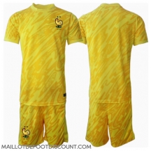 Maillot de football Réplique France Gardien de but Domicile Enfant Europe 2024 Manche Courte (+ Pantalon court)