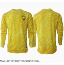 Maillot de football Réplique France Gardien de but Domicile Europe 2024 Manche Longue