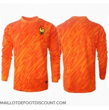 Maillot de football Réplique France Gardien de but Extérieur Europe 2024 Manche Longue