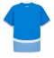 Maillot de football Réplique Islande Domicile 2024 Manche Courte