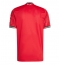 Maillot de football Réplique Manchester United Domicile 2025-26 Manche Courte
