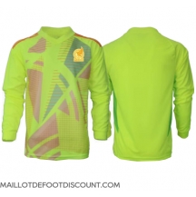 Maillot de football Réplique Mexique Gardien de but Extérieur Copa America 2024 Manche Longue