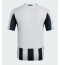 Maillot de football Réplique Newcastle United Domicile 2025-26 Manche Courte