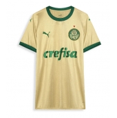 Maillot de football Réplique Palmeiras Troisième 2024-25 Manche Courte
