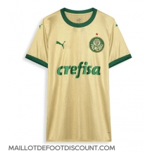 Maillot de football Réplique Palmeiras Troisième 2024-25 Manche Courte