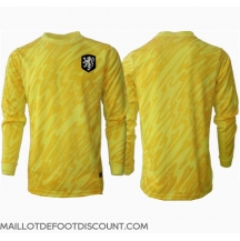 Maillot de football Réplique Pays-Bas Gardien de but Extérieur Europe 2024 Manche Longue