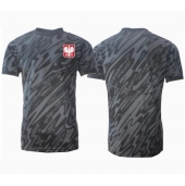 Maillot de football Réplique Pologne Gardien de but Extérieur Europe 2024 Manche Courte