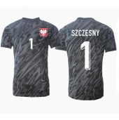 Maillot de football Réplique Pologne Wojciech Szczesny #1 Gardien de but Extérieur Europe 2024 Manche Courte