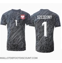 Maillot de football Réplique Pologne Wojciech Szczesny #1 Gardien de but Extérieur Europe 2024 Manche Courte