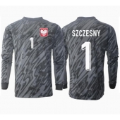 Maillot de football Réplique Pologne Wojciech Szczesny #1 Gardien de but Extérieur Europe 2024 Manche Longue