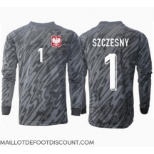 Maillot de football Réplique Pologne Wojciech Szczesny #1 Gardien de but Extérieur Europe 2024 Manche Longue