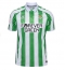 Maillot de football Réplique Real Betis Domicile 2024-25 Manche Courte