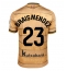 Maillot de football Réplique Real Sociedad Brais Mendez #23 Extérieur 2024-25 Manche Courte