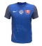 Maillot de football Réplique Slovaquie Domicile Europe 2024 Manche Courte