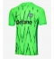 Maillot de football Réplique Sporting CP Troisième 2024-25 Manche Courte