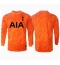 Maillot de football Réplique Tottenham Hotspur Gardien de but Extérieur 2024-25 Manche Longue