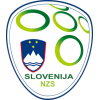 Maillot football Équipe La Slovénie